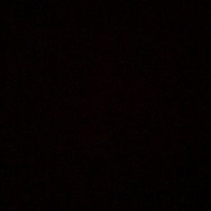 Meet your Posher, Carlie